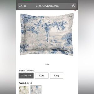 Pottery Barn Jardin Toile Standard Shams